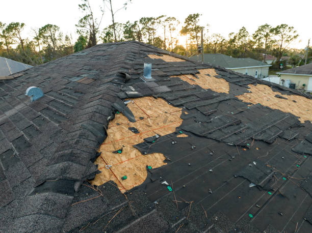 Best Roof Replacement  in Rome, IL
