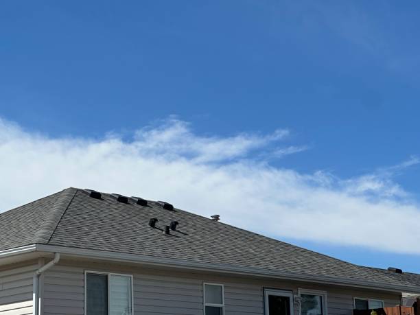 Best Roof Moss and Algae Removal  in Rome, IL